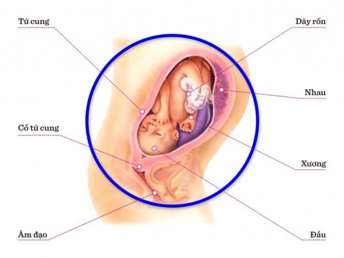 TUẦN THAI THỨ 28: GIAI ĐOẠN TÂM LÝ MẸ NHẠY CẢM NHẤT